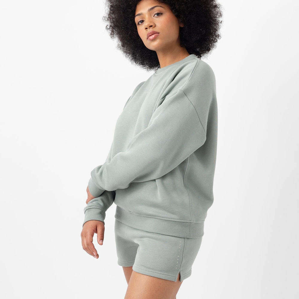 Women's Crew Neck Sweater in Sage Green